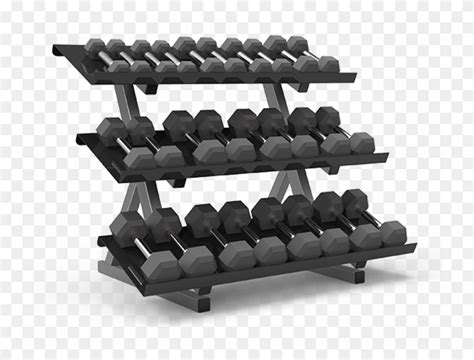 roller coaster dumbbell